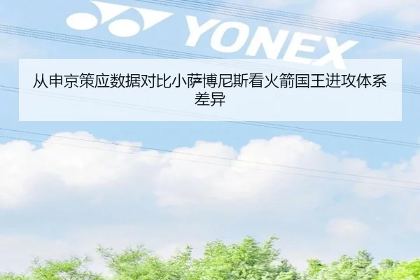 从申京策应数据对比小萨博尼斯看火箭国王进攻体系差异